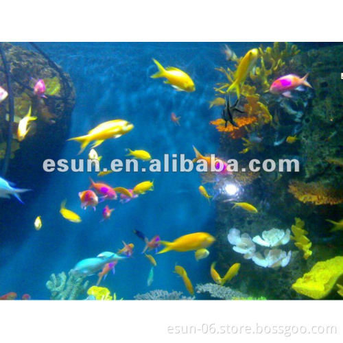 Water Treatment Material Polycaprolactone for Aquarium